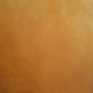 Meet your Posher, Lilly